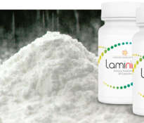 Laminine ingredients