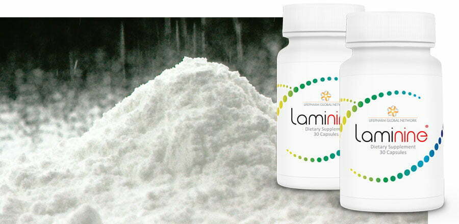 Laminine ingredienti