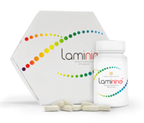 The effect of Laminine on the level of cortisol