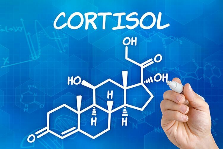 Cortizolul, stresul și obezitatea