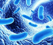 Probiotics - good bacteria