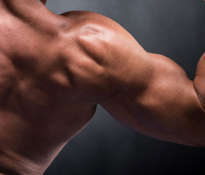 Strength and muscle mass thanks to amino acids