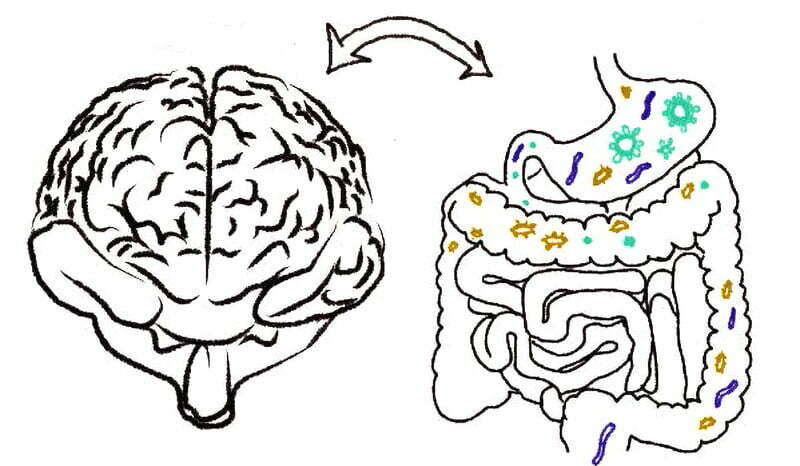 Depression kann durch eine angemessene Diät gelindert werden