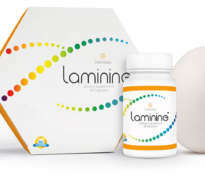 What is the Laminine Dietary Supplement?