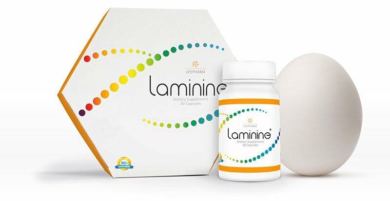 Was ist das Nahrungsergänzungsmittel Laminine?