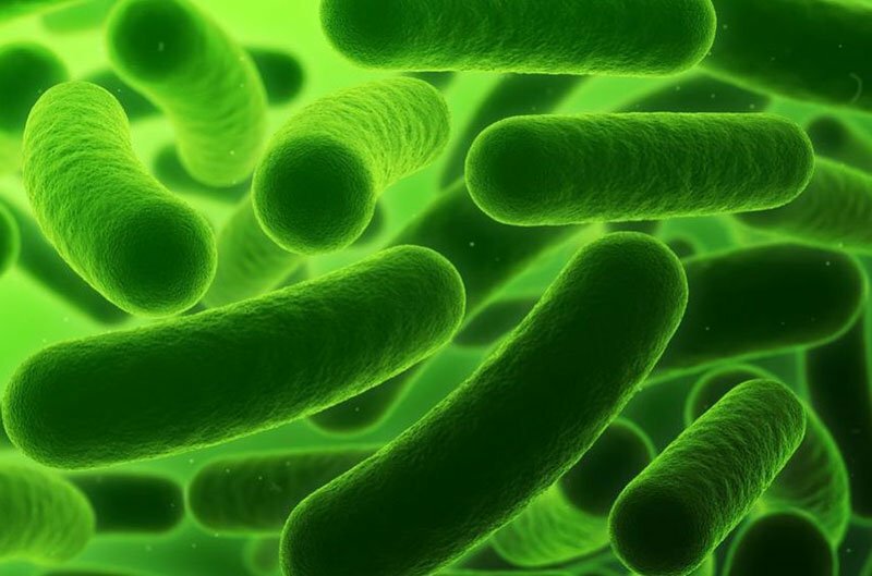 Obezitatea poate fi asociată cu probleme intestinale