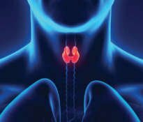 What is the probiotics role for thyroid health?