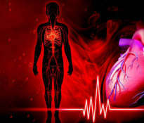 Prevention of cardiovascular diseases