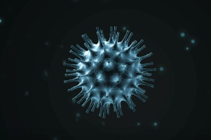 Was sind die Symptome einer Coronavirus-Infektion?